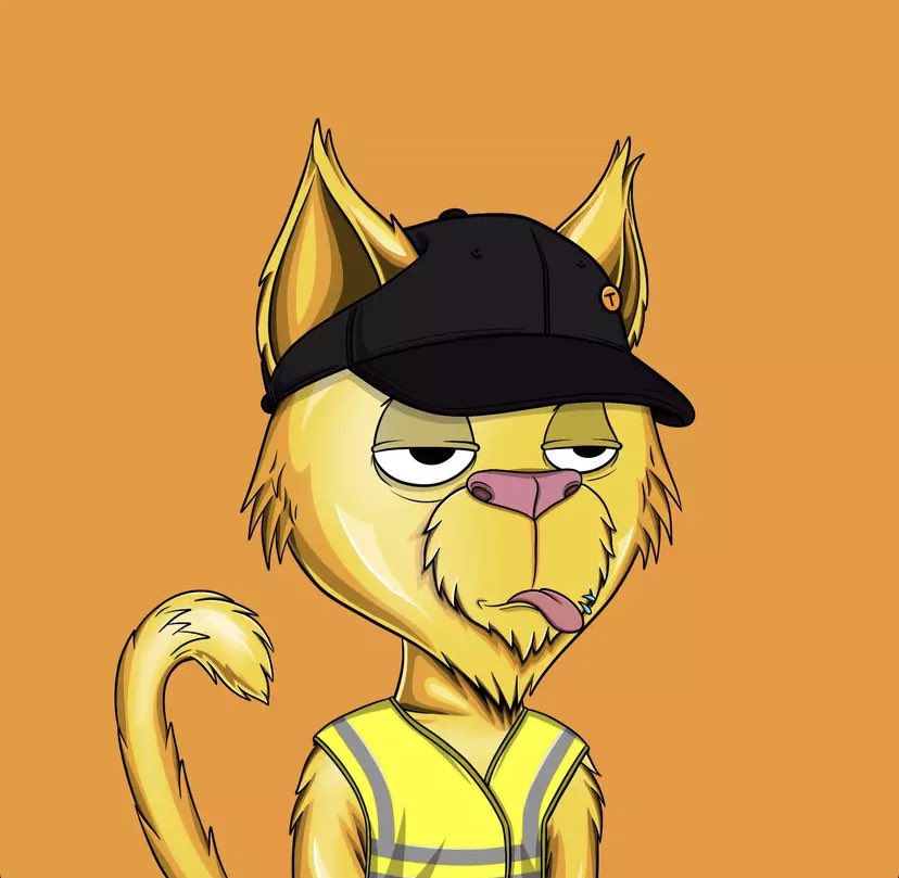 Just got myself a <a href="/TotallyAVRGCats/">TAC</a>  rank 24 of 4000. I don’t know what to do with my hands right now! #algofam #Algorand #nft