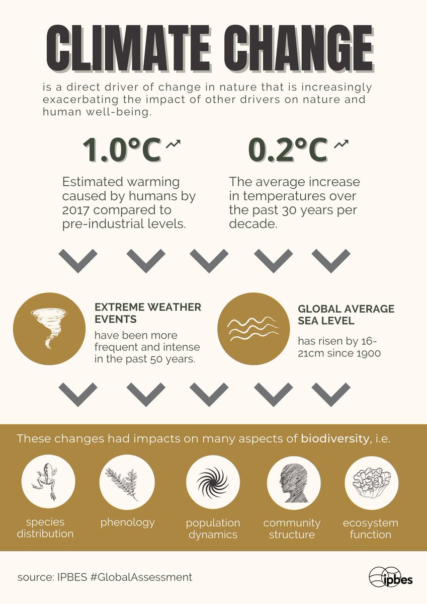 UN Biodiversity tweet media