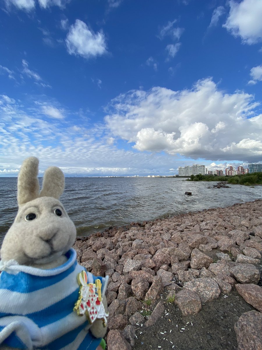 Wish you a good dreams, friends, sleep well 😴🐰❤️
Good night 😘 
#mrrabbit