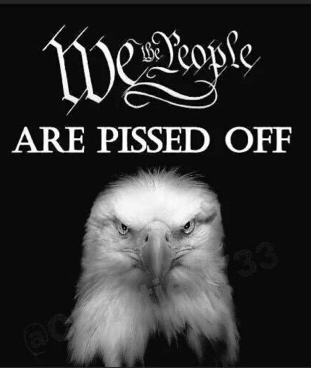 ChuckCarleo's tweet photo. @seanhannity @newtgingrich https://t.co/gfoWhz1JvY