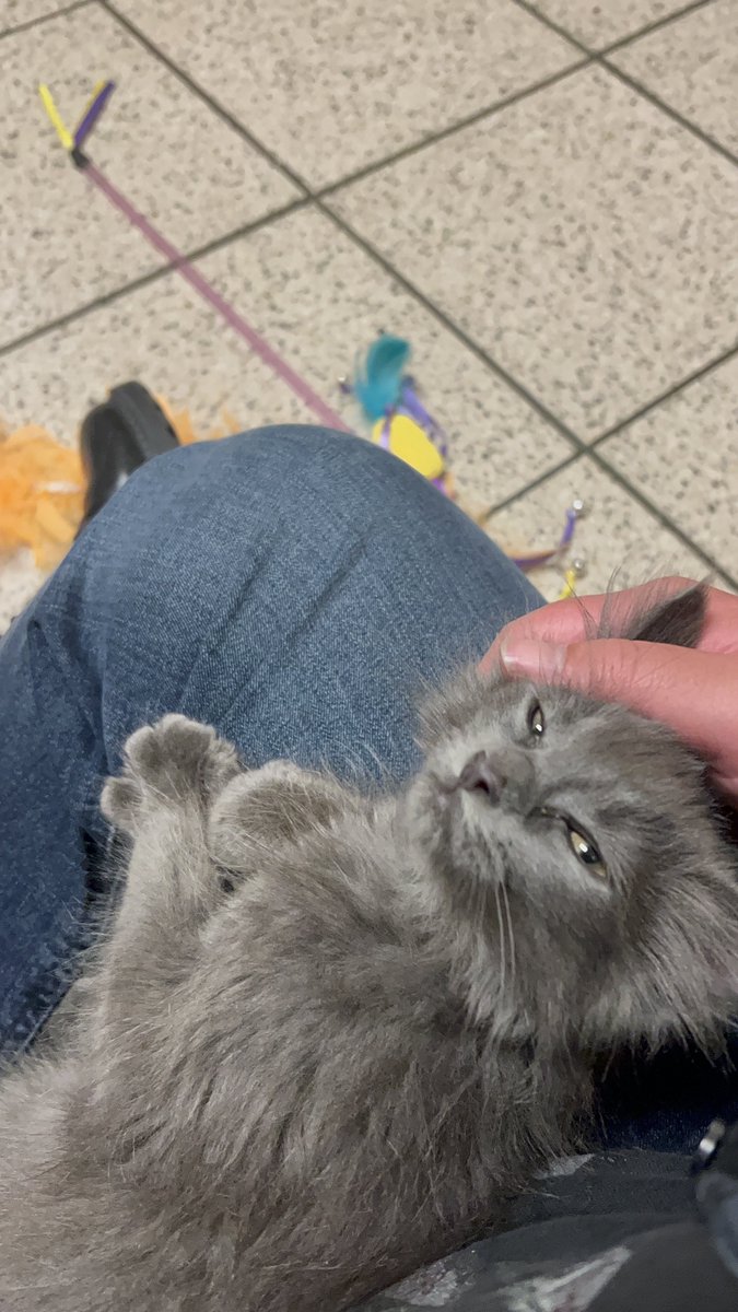 Blackbeard tweet media