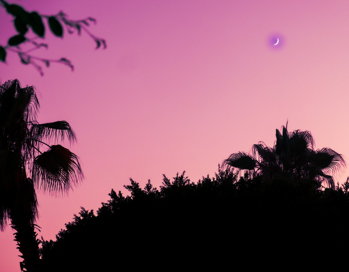 CollectionBety's tweet image. Evening time! 🌙

#nftart #nft #nftcollector #NFTCollection #NFTGiveaways #NFTs #nftart #NFTProject #NFTartist #nft #OpenSeaNFT #photography #photooftheday #photographers #Palmeiras  #alanya #antalya #scene #NightPhotography