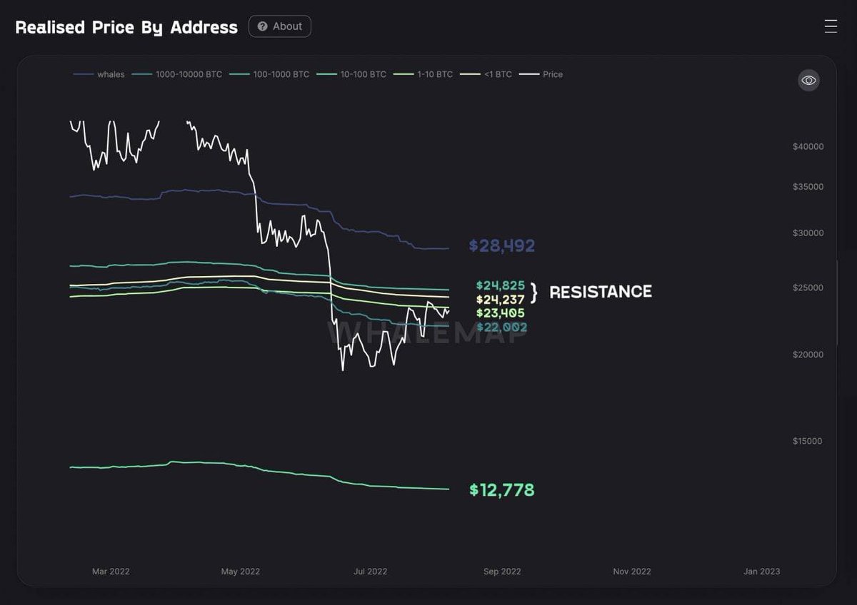 robin lokananta tweet media