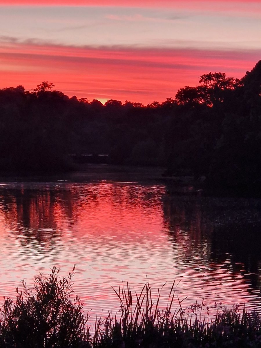 sidbart's tweet image. Sleep well - going to be another gorgeous day tomorrow