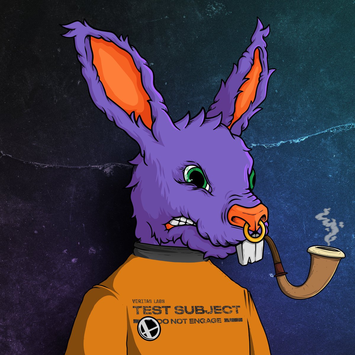 ShaneRSGTi's tweet photo. Some recently acquired @DeadRabbitRS - some bought, some traded for. Super excited for Day of the Rabbit Supreme tomorrow!!! #DRRS #DOTRS #NFT #CARDANO #ADA #CNFTCOMMUNITY #CNFTPROJECT #CNFTCOLLECTOR #CNFT #BLUECHIP ROADMAP 2.0 releasing very soon. https://t.co/TS9pXOp54G