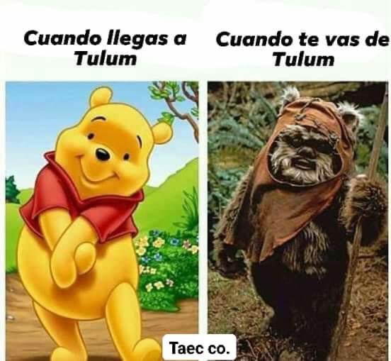 Don Agus (@agusat95) on Twitter photo 