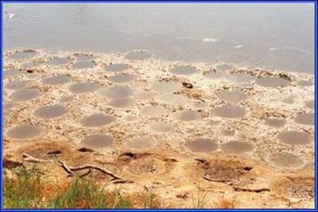 Finterest tweet media