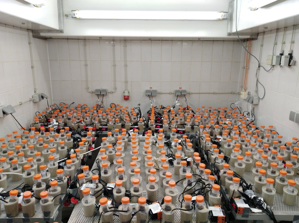 The 50 best papers recently published in ecology and evolution by Nature Communications: nature.com/collections/ja….  Our study was selected😀: “Multiple anthropogenic pressures eliminate the effects of soil microbial diversity on ecosystem functions in experimental microcosms”.