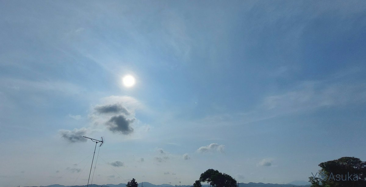 yumeasutw's tweet photo. #青空 にお日様ギラギラ蒸し暑い水曜日の朝☀️
少し離れて電線に佇む二羽の仲良し #ツバメ 💕

予想最高/最低気温🌡️36℃/25℃
晴れ☀️
厳しい暑さ😵💦午後は南風が吹き俄か雨に御用心⛈️

#空の名前
#雲の教室
#天気の図鑑 #雲友
#巻層雲 #積雲
#燕 #swallow
#野鳥 #bird #庭来鳥
#a2022 #a0809 #a202208 https://t.co/fmYzJNfh3p