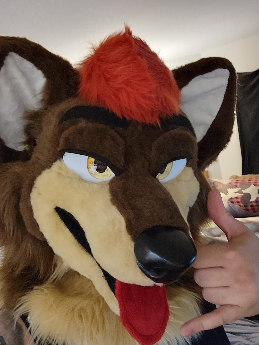 DjFrostwulf tweet media