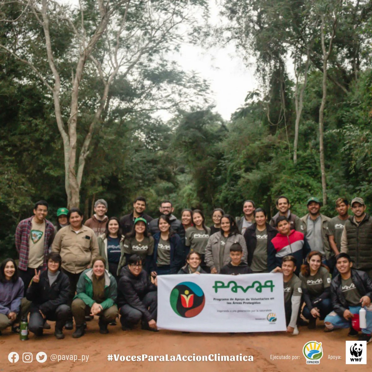pavap_py's tweet photo. El Programa de Apoyo Voluntario en Áreas Protegidas - PAVAP es una iniciativa de @opades_py con el apoyo de @WWFPy en el marco del proyecto Voces para la Acción Climática Justa y el @mambiente_py
#PAVAP2022 #OPADES #ConectateConLaNaturaleza #WWFPy #CheParquePorã #Conservacion https://t.co/DK8siXSHxa