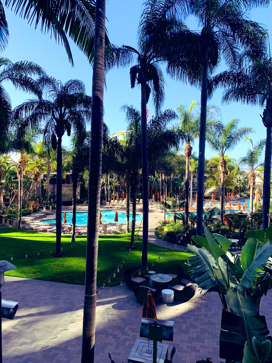 A taste of paradise in our own city of San Diego
#Blog #SummerVibes