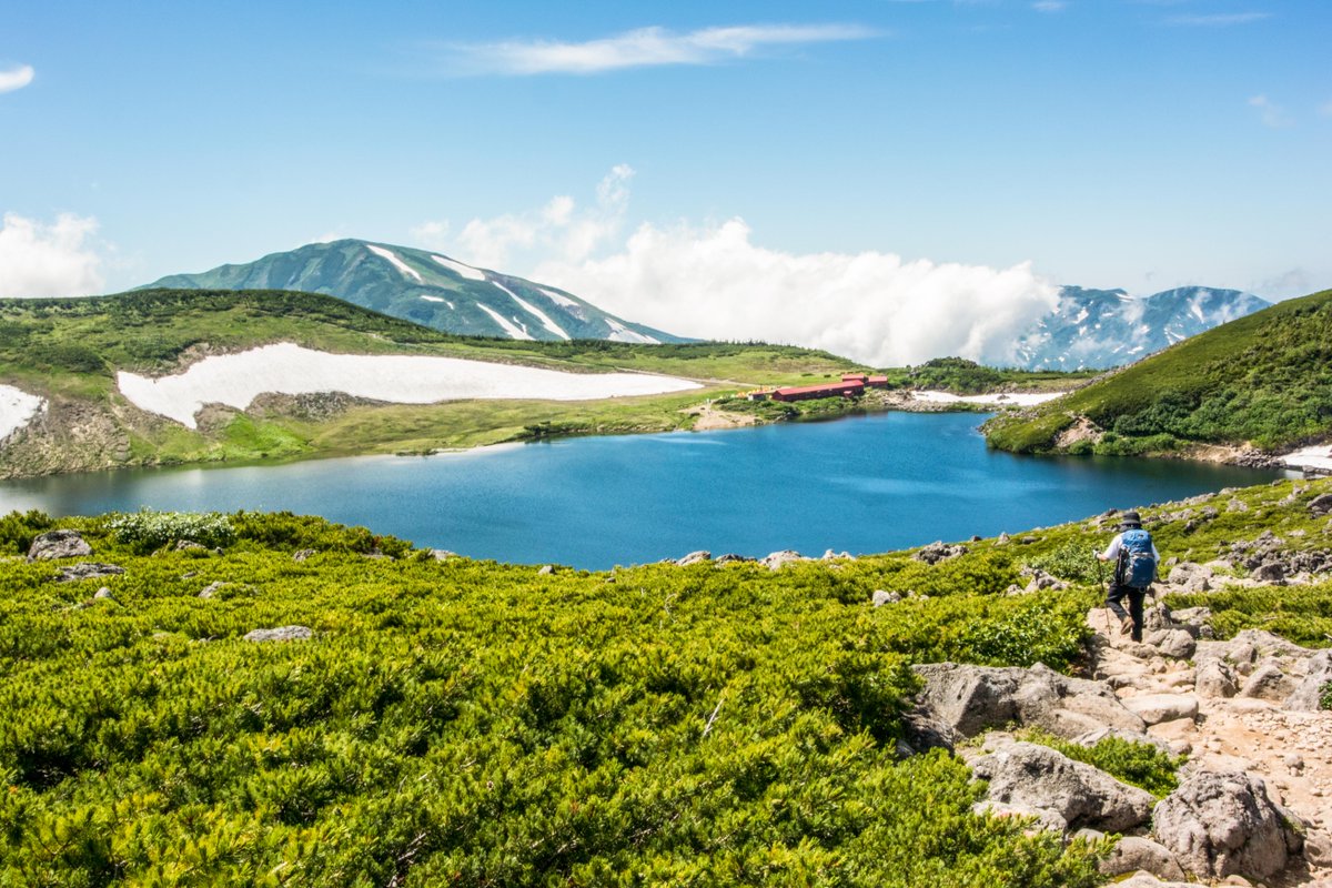 Booking.com Japan tweet media