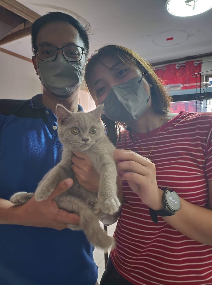 rlsvll's tweet photo. With Princess Carolyn 🐱 https://t.co/UOMTMjA46j