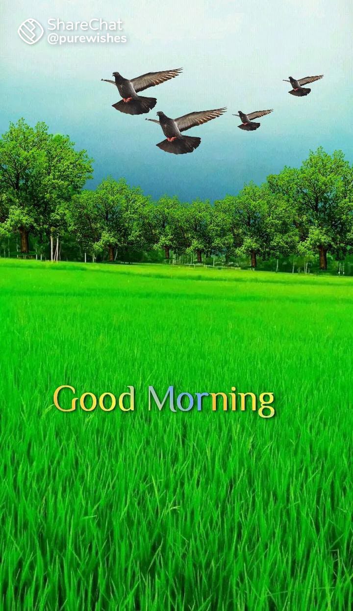 Prof.Madhu Patil on Twitter: