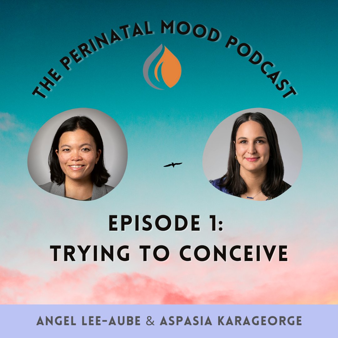 Introducing our Perinatal Mood podcast series. 
Join us for Episode 1 where we discuss all things related to trying to conceive a baby. 
sydneycitypsychology.com.au/category/perin…
#perinatal #mentalhealth #perinatalmood  #therapy #SydneyCityPsychology #supportsystems  #mentalhealthawareness