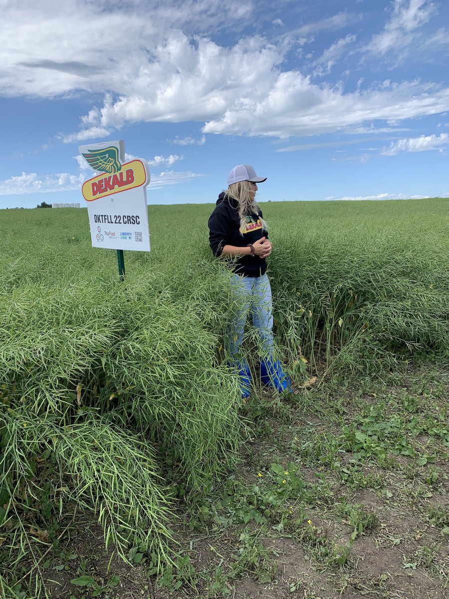 TeamNEABBCS's tweet photo. @PateyShelby chatting about canola at one of our local tours. If you are interested in seeing a local Market Development site please reach out to one of us!  @colin_klassen @DEKALB_Canada @Bayer4CropsCA https://t.co/fDbIEQ7Exg