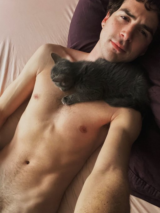 Please watch the video linked below on how to help save the love of my life from feline infectious peritonitis