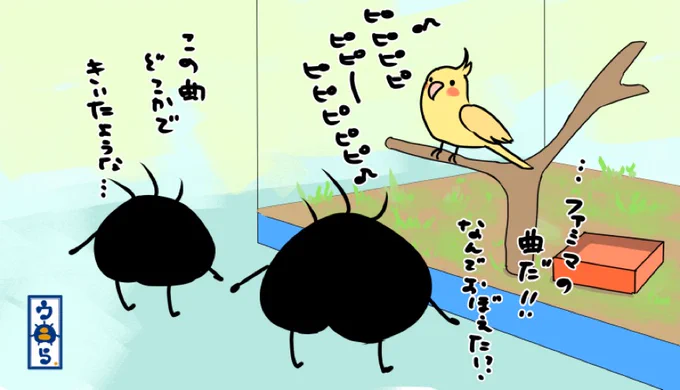 ウニらリターンズウニら一家ペットショップへ行く編③長男がオカメインコが歌ってる聴き覚えのある曲が何だっけと考えてたら父ちゃんがファミマの曲だと…ペットショップの自動ドアも同じ曲だから覚えちゃったのねw#ゆるいイラスト #オリキャラ #イラスト  #ペット #オカメインコ #ファミマの曲 