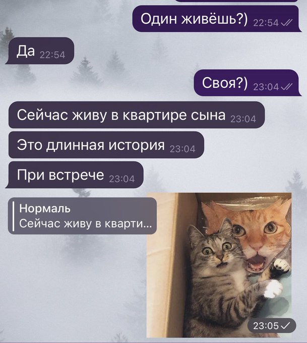 Без комментариев...? https://t.co/ae9xiVPavL