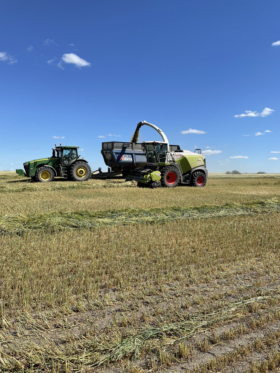 Thanks to some timely rains we will be able to get the pits full this year.