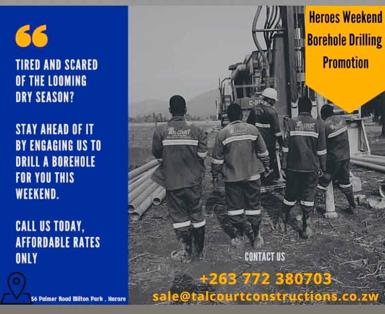 Bushtee's tweet image. 