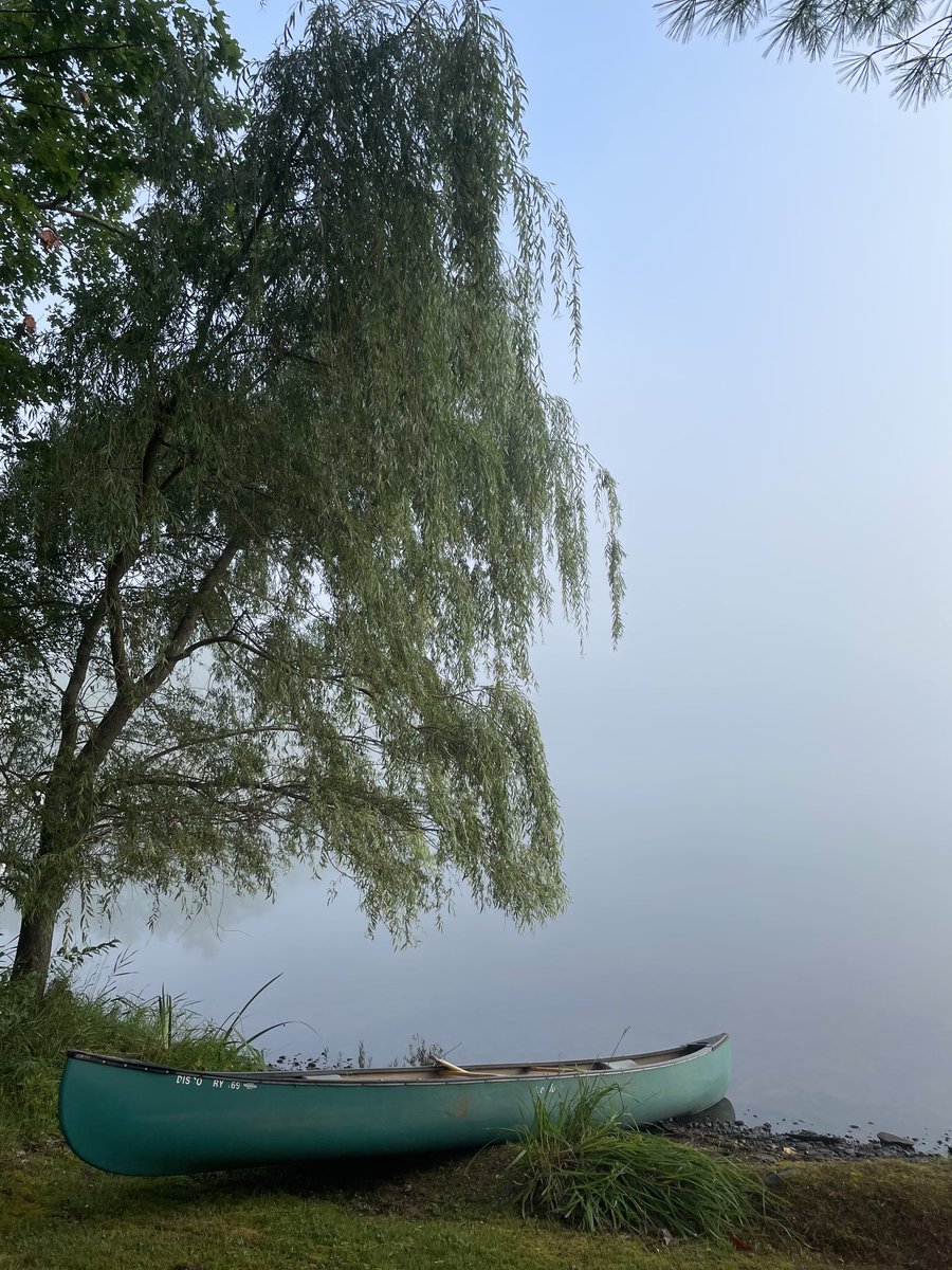 HoseySara's tweet photo. Misty lake. I found so much inspiration for IMAGINING ELSEWHERE in #upstate New York. #upstateny #upstateofmind #weepingwillow #iloveny #amwriting #amwritingya #ya #paranormal @CamCatBooks https://t.co/ucEIEObl7R