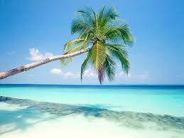 Mimiveemp's tweet photo. Exotic beaches 🧭 https://t.co/qbq0nx8hdz