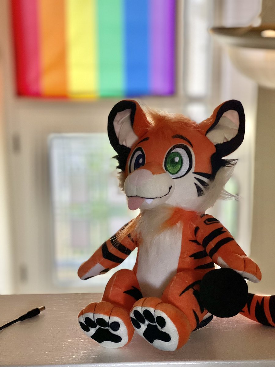 Look at this lil dumpy gay kitty! Ready to go on all the adventures! 🥰🏳️‍🌈🏳️‍🌈🏳️‍🌈 Preorder your Tygre plush before they’re gone: corgibeans.bigcartel.com/product/tygre-…