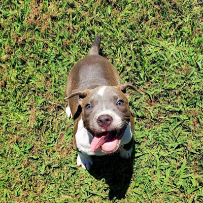 CCMMiami_Jr's tweet photo. #NewProfilePic https://t.co/sFa4QfPXE3