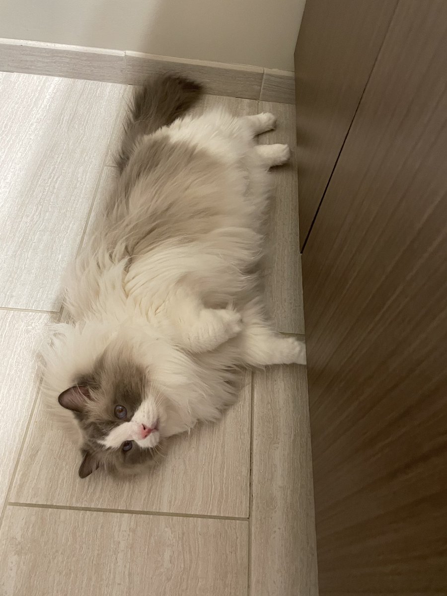 linxuan huo tweet media