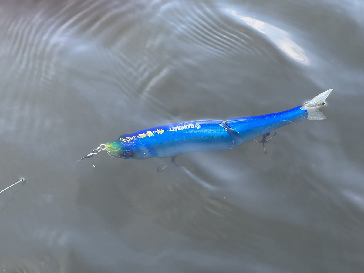 【吉田撃からMCパフォーマー】「魚と勝負しろ」ガンクラフトGANCRAFTRAIDJAPANレイドジャパンDODGEダッジ金森青木DSTYLEジャッカルKTF お買い物マラソン ポイント5倍 ガンクラフト エイムス