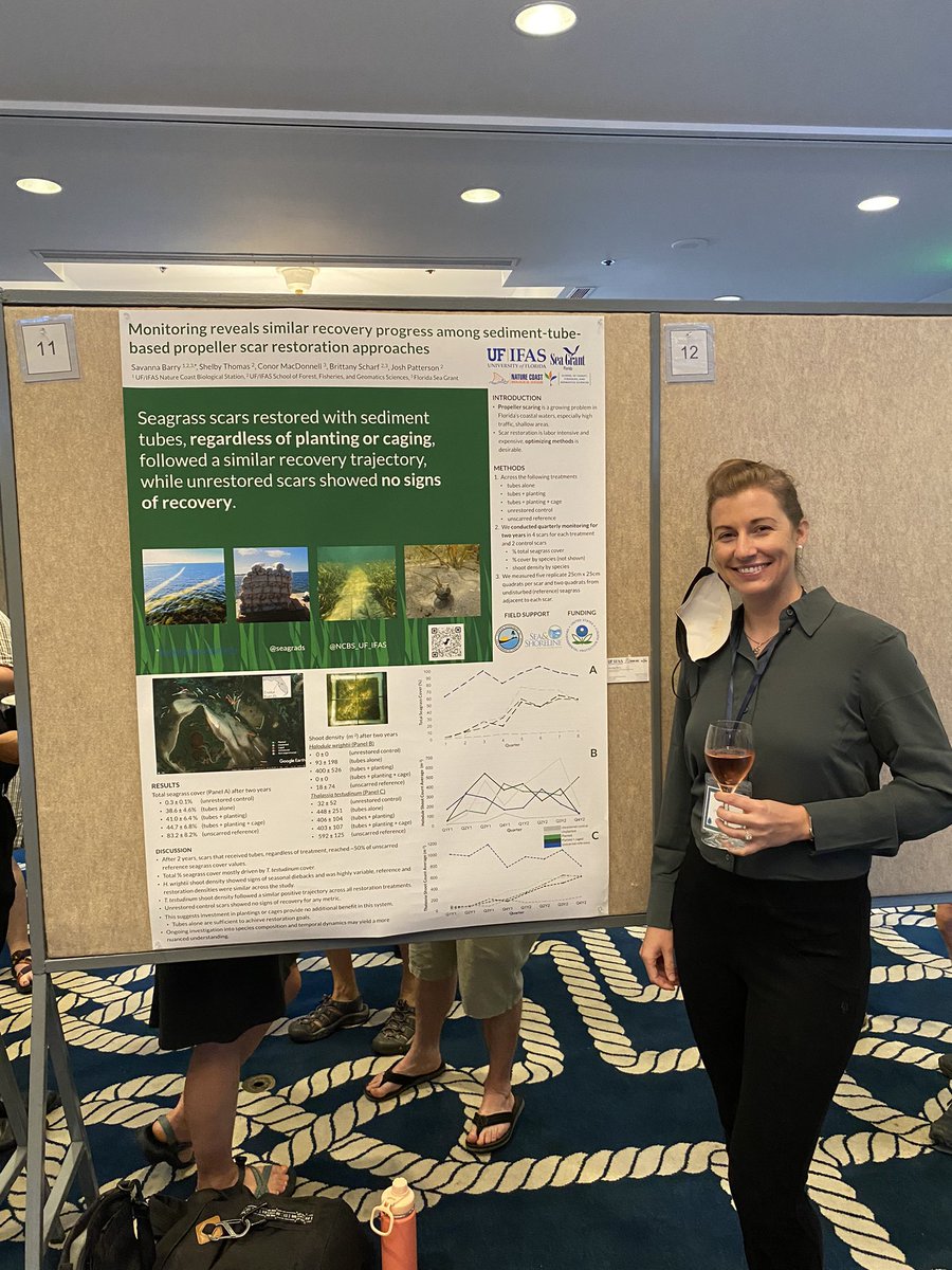 JustinGrubich's tweet photo. Sediment tubes can restore seagrass prop scars in the #NatureCoast without needing expensive planting or caging! Ask Dr. Savanna Barry how at #isbw14 @seagrads @pewenvironment https://t.co/g211FBCD8X