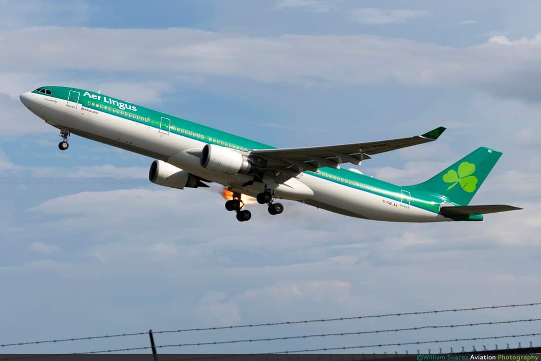 andrew-janes-on-twitter-someone-caught-a-picture-of-the-aer-lingus