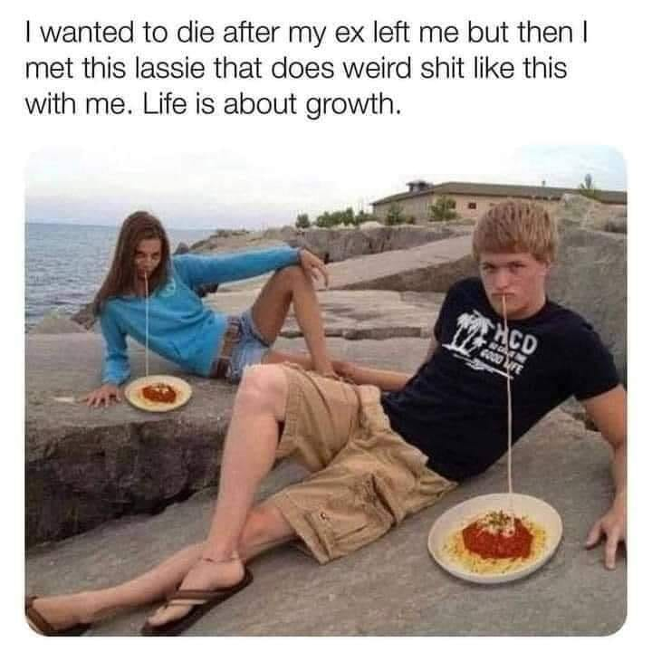 WholesomeMeme's tweet photo. https://t.co/1xJnagVPWr