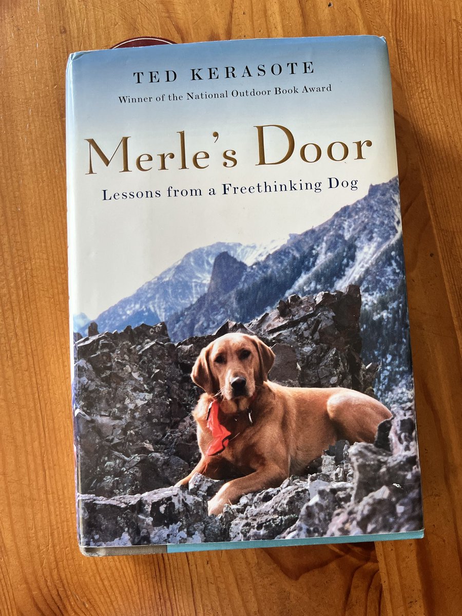 Hyacinth Schaeffer tweet media