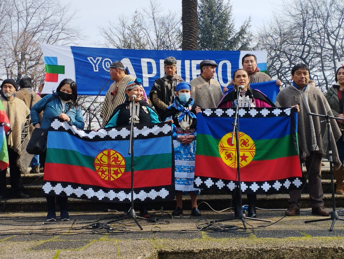 ElisaLoncon's tweet photo. Masiva presencial mapuche del Meli Witxan Mapu en Banderazo.  A tres semanas del plebiscito. #WallmapuAprueba https://t.co/yPEbKjYPk4