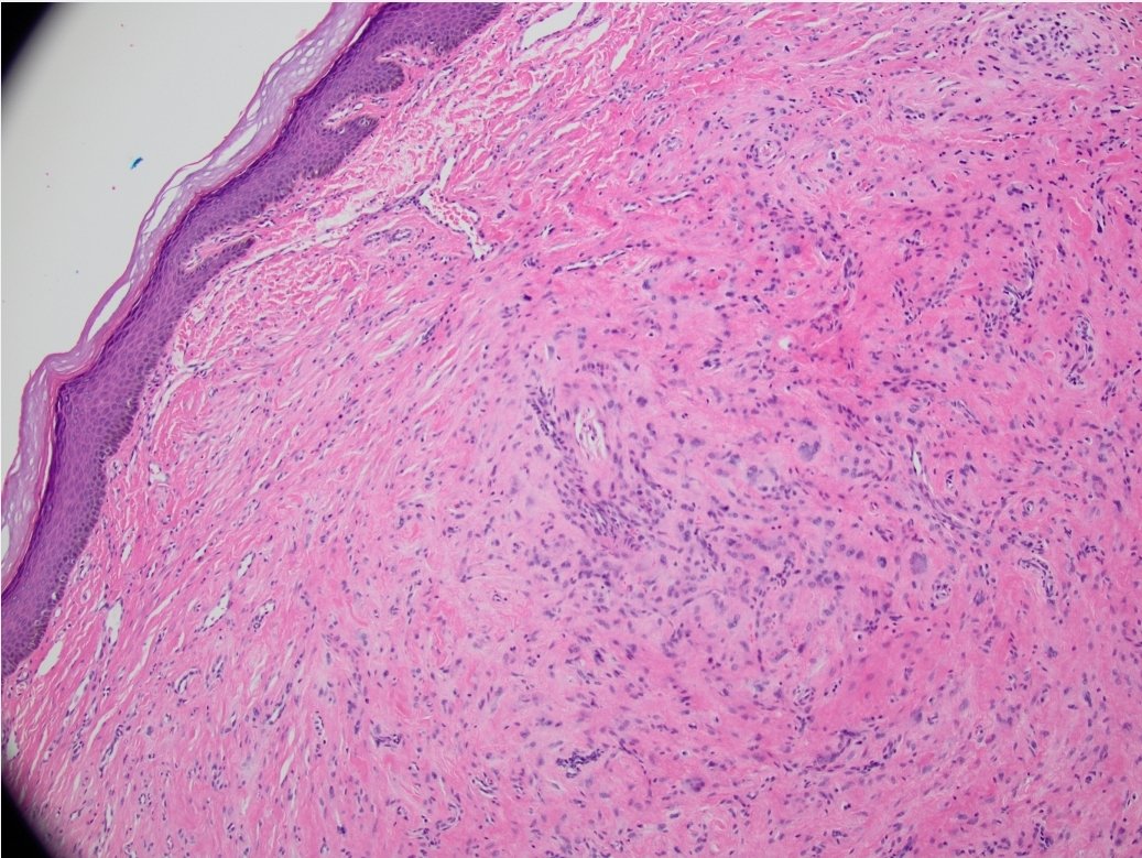 Jessenia Guerrero MD tweet media