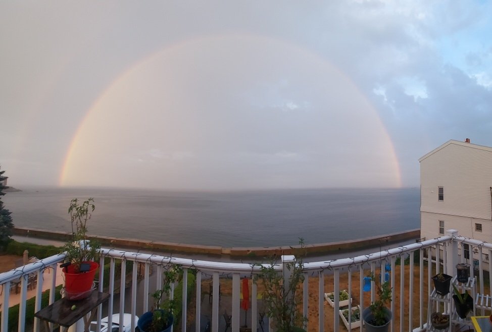 Nipplez (Gear Head Mike) tweet media