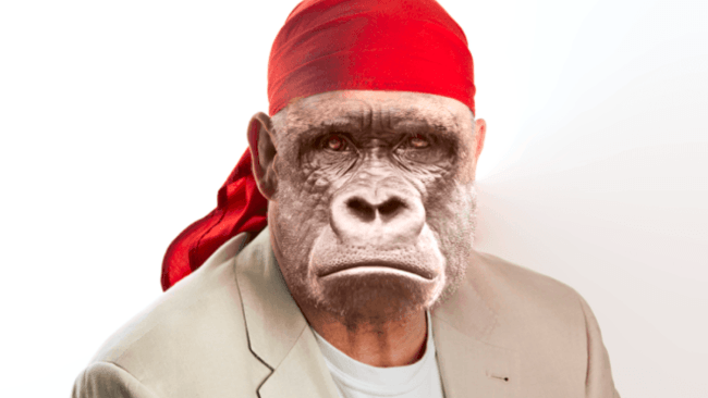 CoaltrainHunter's tweet photo. #FitzSimons
#Gorilla
Peter FitzSimons in 2014:
“If calling a black man a 'gorilla' and an 'ape' is not racial abuse, what the hell does it take?”
Oops! https://t.co/PVGLBcturk