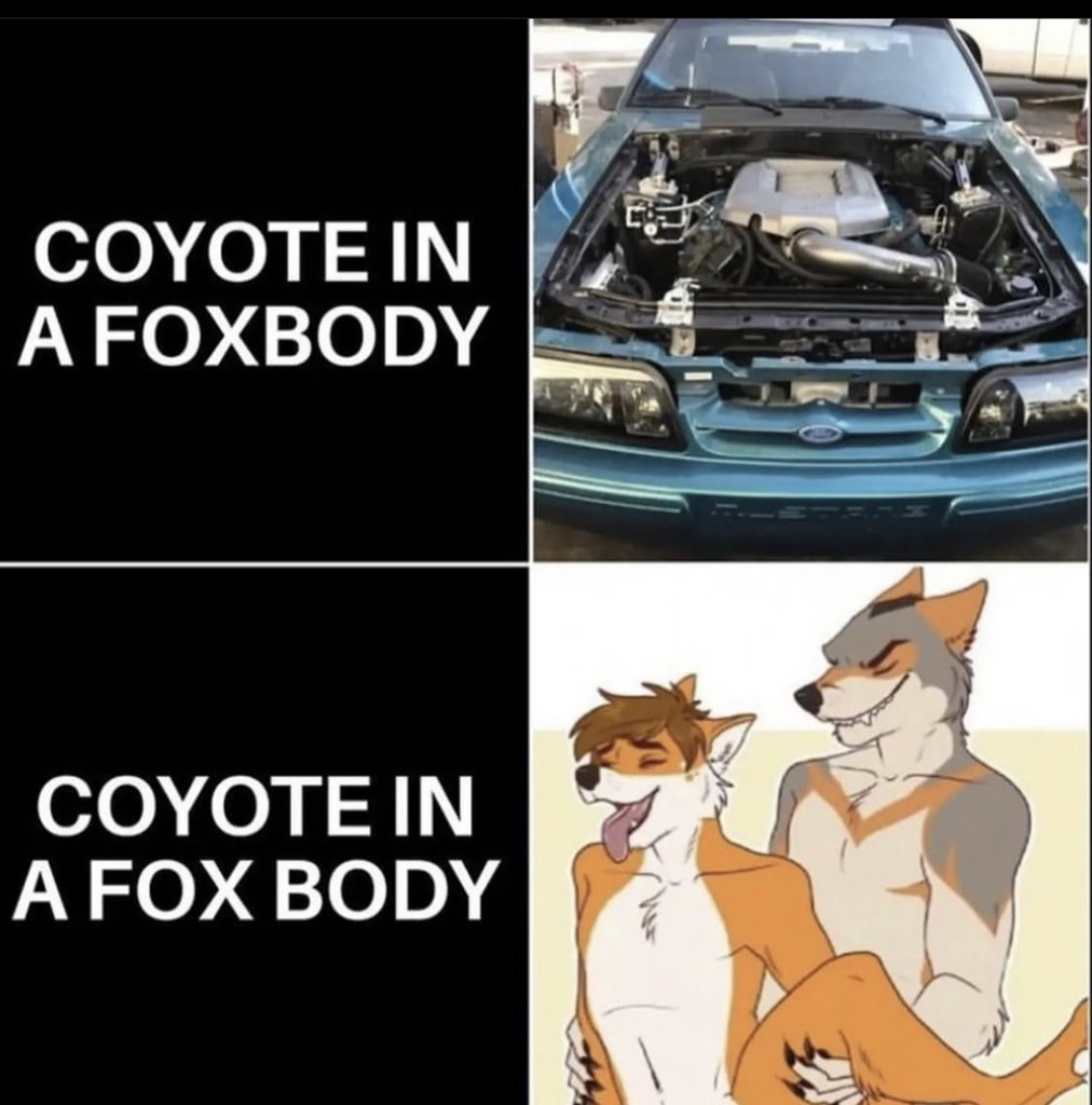 MintySnep's tweet photo. Props to @stiggythefolf for the 🔥 meme https://t.co/kyP2ZP4D6X