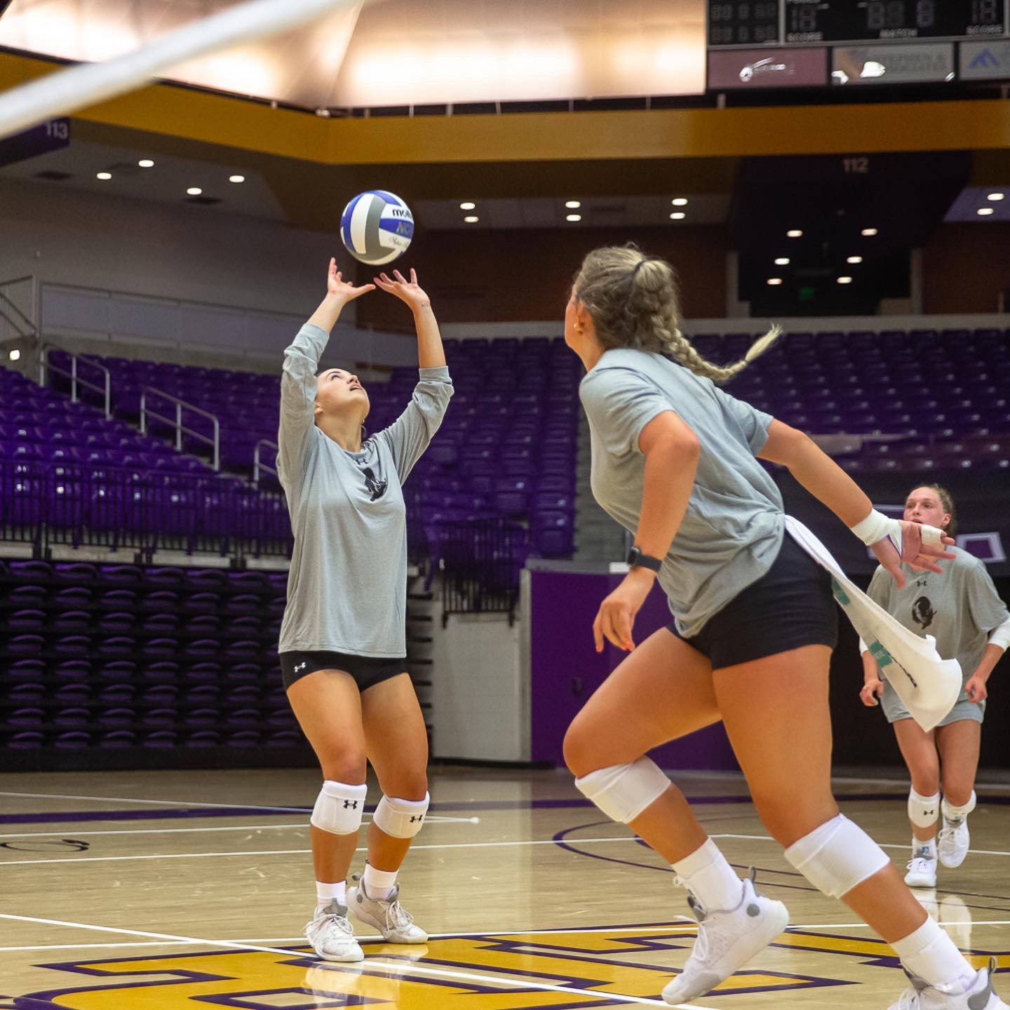 Volleyball / Twitter