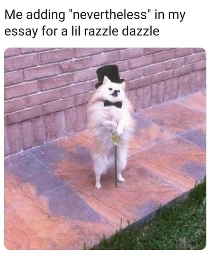 WholesomeMeme's tweet photo. https://t.co/rgdiuhzmxW