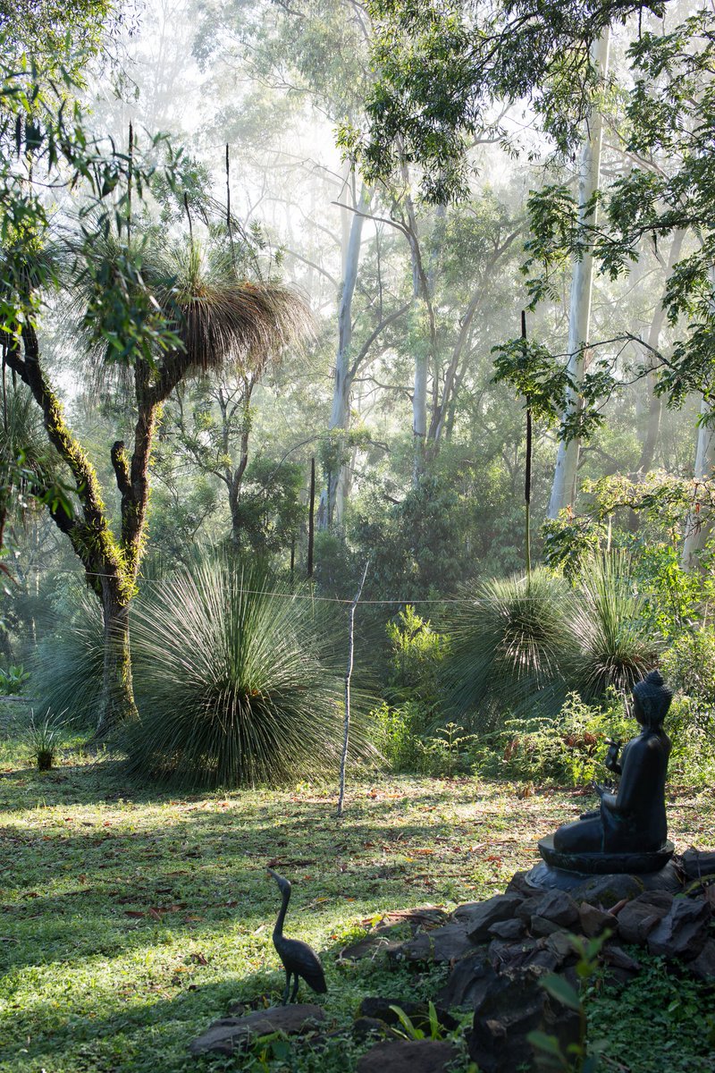 cloudnine_art's tweet photo. @ABCscience Disappointed to see the iconic Xanthorrhoea not included. 🤔 Love these ancients. https://t.co/4Zyg4saIki
