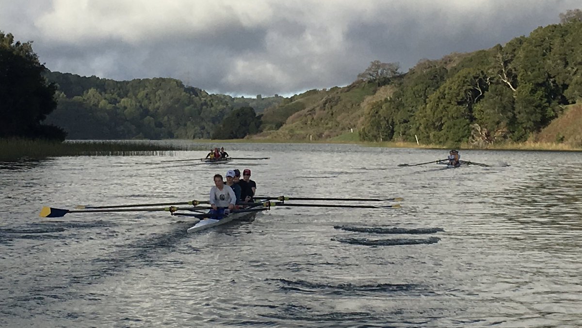Interested in the history of @Cal? 

URAP opportunities available for <a href="/UCBerkeley/">UC Berkeley</a> undergraduates interested in working on "A History of Women's Rowing at Cal" 👇

urapprojects.berkeley.edu/projects/detai…