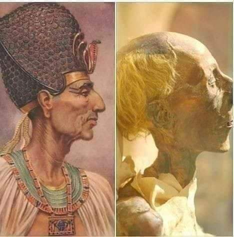 Ramsés II (1303 a.C.-1213 a.C.) fue el último gran faraón de Egipto, vivió hasta los 90 años, tuvo 152 hijos, era pelirrojo y medía 190 cm en vida.