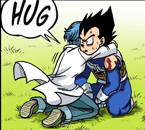 VegetaFansClub's tweet photo. I guess Vegeta is not used to being hugged 🫂 https://t.co/p65HEN8kq6
