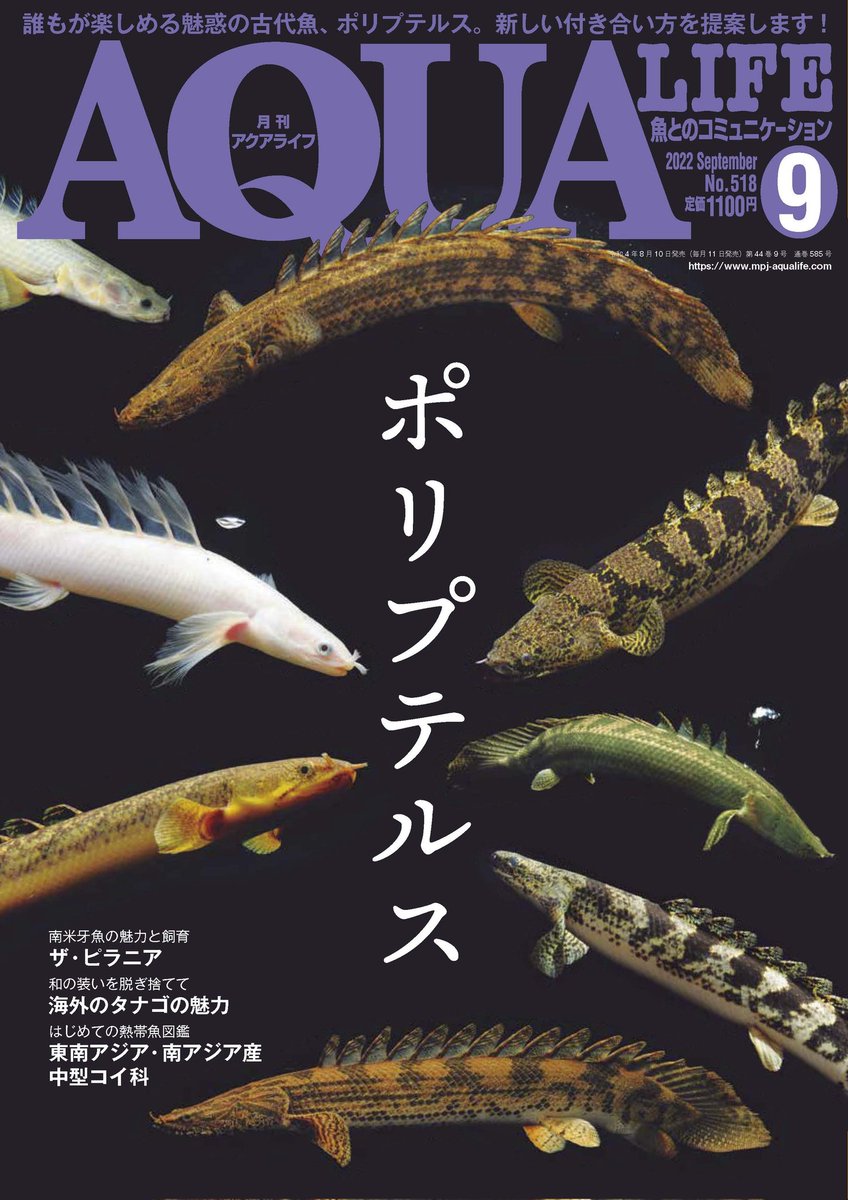人気デザイナー 月刊アクアライフ AQUA LIFE 2019年1月〜12月号 月刊 アクアライフ 1月号