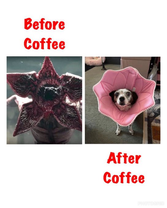 Okay, y&rsquo;all have jokes, I see you 🤣🌸 https://t.co/CohFTX9n3h