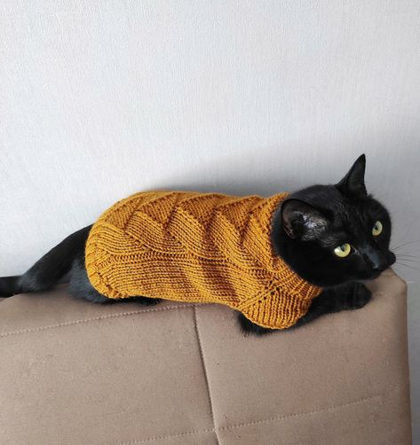🐱 | around you by hyunjin